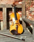 My violin,  named &#039;Salamandar&#039;  by its maker D J Tatem, basking in the Keswick sun.